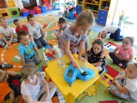 Zdjęcie: WSZYSTKO DLA ZIEMI