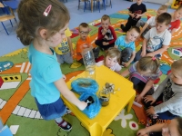 Zdjęcie: WSZYSTKO DLA ZIEMI