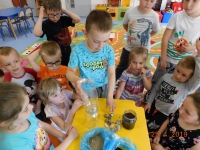 Zdjęcie: WSZYSTKO DLA ZIEMI