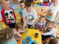 Zdjęcie: WSZYSTKO DLA ZIEMI