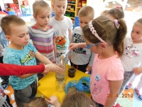 Zdjęcie: WSZYSTKO DLA ZIEMI