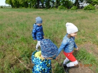 Zdjęcie: ŁĄKA W MAJU