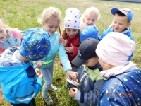 Zdjęcie: ŁĄKA W MAJU