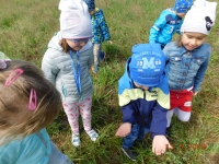 Zdjęcie: ŁĄKA W MAJU