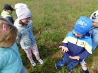 Zdjęcie: ŁĄKA W MAJU
