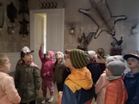 Zdjęcie: Wycieczka