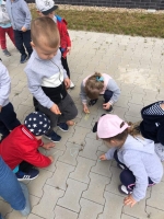 Zdjęcie: Korzystamy z pięknej pogody