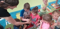 Zdjęcie: SPOTKANIE Z PSZCZELARZEM...