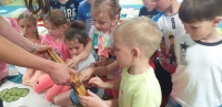 Zdjęcie: SPOTKANIE Z PSZCZELARZEM...