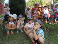 Zdjęcie: LEŚNICZÓWKA KOCZURY
