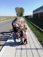 Zdjęcie: ZAJĄCZKI 2019/20
