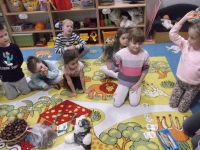 Zdjęcie: MAŁY MIŚ BUNI POZNAJE GRZYBY