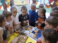 Zdjęcie: CO Z CZEGO OTRZYMUJEMY