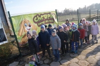 Zdjęcie: WIZYTA W SCHRONISKU W GAJU