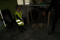 Zdjęcie: WIZYTA W SCHRONISKU W GAJU