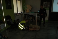 Zdjęcie: WIZYTA W SCHRONISKU W GAJU
