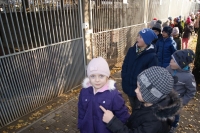 Zdjęcie: WIZYTA W SCHRONISKU W GAJU