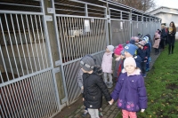 Zdjęcie: WIZYTA W SCHRONISKU W GAJU