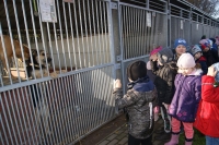 Zdjęcie: WIZYTA W SCHRONISKU W GAJU