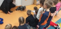 Zdjęcie: ZWIERZĄTKA NASZYCH TYGRYSKÓW
