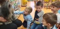 Zdjęcie: ZWIERZĄTKA NASZYCH TYGRYSKÓW