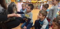 Zdjęcie: ZWIERZĄTKA NASZYCH TYGRYSKÓW