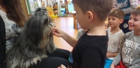 Zdjęcie: ZWIERZĄTKA NASZYCH TYGRYSKÓW