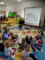 Zdjęcie: Zajęcia ekologiczne 