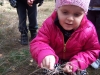 Zdjęcie: BIEDRONKI W LESIE