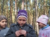 Zdjęcie: BIEDRONKI W LESIE