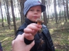 Zdjęcie: BIEDRONKI W LESIE