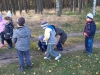 Zdjęcie: BIEDRONKI W LESIE