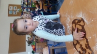 Zdjęcie: Pieczemy pierniki
