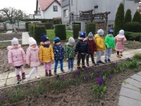 Zdjęcie: SZUKAMY WIOSNY