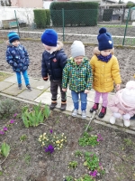 Zdjęcie: SZUKAMY WIOSNY