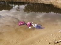 Zdjęcie: FOTORELACJA Z PIĄTKU 20.03.2020