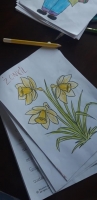 Zdjęcie: FOTORELACJA Z PONIEDZIAŁKU 23.03.2020
