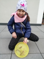 Zdjęcie: FOTORELACJA Z PIĄTKU 27.03.2020