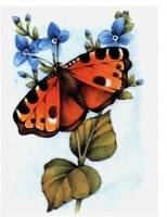 Zdjęcie: WIOSNA