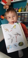 Zdjęcie: FOTORELACJA Z WTORKU 31.03.2020
