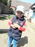 Zdjęcie: W  SKLEPIE