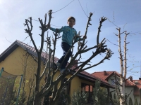 Zdjęcie: FOTORELACJA Z CZWARTKU 16.04.2020