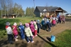 Zdjęcie: Zajączek w Kluczewie