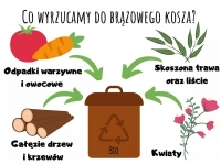 Zdjęcie: Segregujemy śmieci
