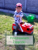Zdjęcie: Pozdrowienia dla zajączków.
