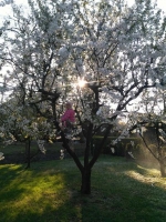 Zdjęcie: FOTORELACJA Z ŚRODY 22.04.2020