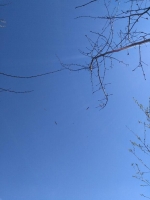 Zdjęcie: FOTORELACJA Z CZWARTKU 23.04.2020