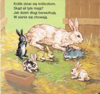 Zdjęcie: ZADANIA DO PRACY W DOMU 27.04.2020