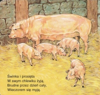 Zdjęcie: ZADANIA DO PRACY W DOMU 27.04.2020