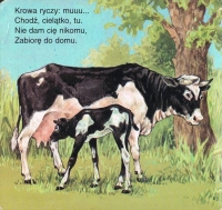 Zdjęcie: ZADANIA DO PRACY W DOMU 27.04.2020